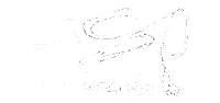 1 Design sem nome (14)